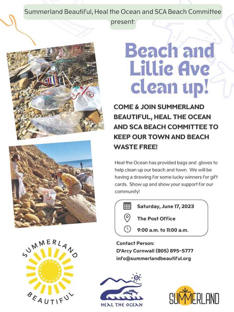 beach-clean-up-june-17